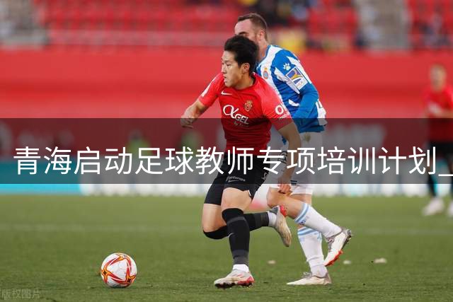 青海启动足球教师专项培训计划 覆盖全省520名基层教练
